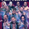 AEW All Elite Wrestling Fight Forever Nintendo SWITCH^THQ NORDIC GAMES Hot
