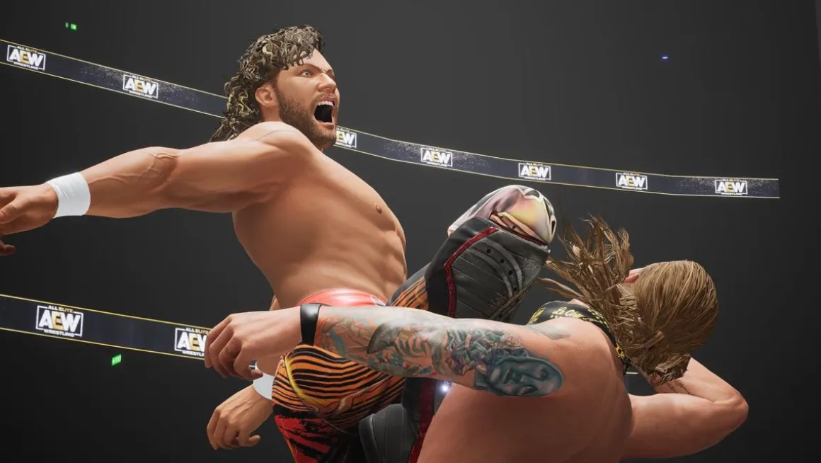 AEW All Elite Wrestling Fight Forever Nintendo SWITCH^THQ NORDIC GAMES Hot