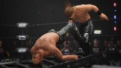 AEW All Elite Wrestling Fight Forever Nintendo SWITCH^THQ NORDIC GAMES Hot
