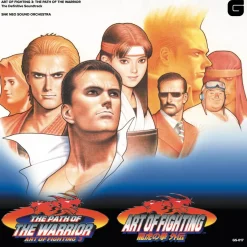 Art Of Fighting Volume 3 Vinyle Gris et Orange 2LP^Brave Wave Hot