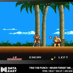 Blaze - Data East Arcade 2 - Cartouche n°12^Evercade Hot
