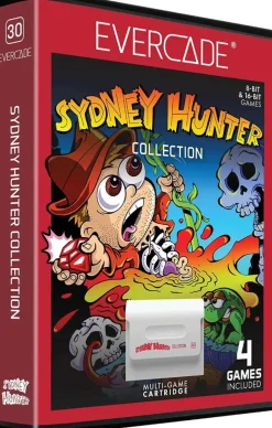 Blaze - Sydney Hunter Collection - Cartouche Arcade N° 30^Evercade Store