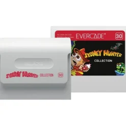 Blaze - Sydney Hunter Collection - Cartouche Arcade N° 30^Evercade Store