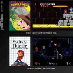 Blaze - Sydney Hunter Collection - Cartouche Arcade N° 30^Evercade Store