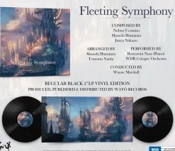 Fleeting Symphony Vinyle - 2LP^BIGWAX Cheap