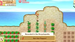 Harvest Moon Nintendo Switch^RISING STAR New