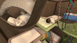 House Flipper Pets Edition PS4^MERGE Cheap