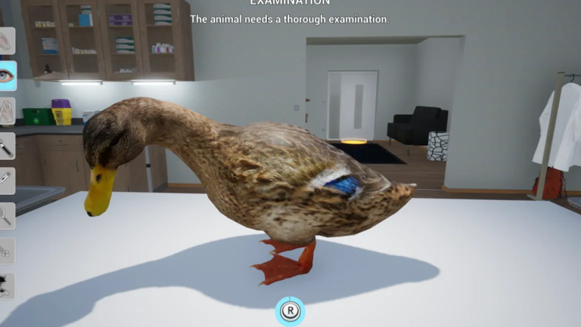 Ma Vie Vétérinaire à la Ferme Nintendo Switch^MINDSCAPE Best Sale