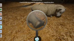Ma Vie Vétérinaire à la Ferme Nintendo Switch^MINDSCAPE Best Sale