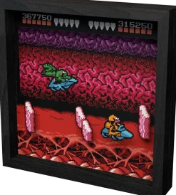 Pixel Frames - Battletoads NES Turbo Tunnel - 23x23 cm^Level Up Labs New