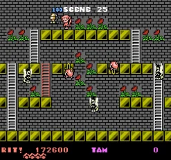 Rod Land Collector’s Edition Cartouche NES^retro-bit Best