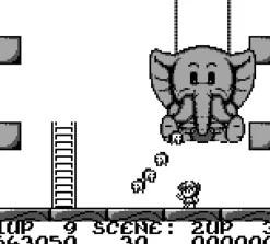 Rod Land Collector’s Edition Cartouche Game Boy^retro-bit Best Sale
