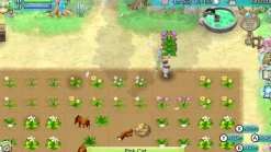 Rune Factory 4 Special SWITCH^MARVELOUS New