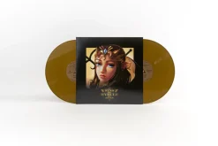 Sins of Hyrule Vinyle - 2LP^Materia Outlet