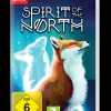 Spirit of the North Switch^MERGE Cheap