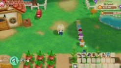 Story of Seasons : Friends of Mineral Town SWITCH^MARVELOUS Store