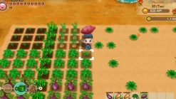 Story of Seasons : Friends of Mineral Town PS4^MARVELOUS Flash Sale