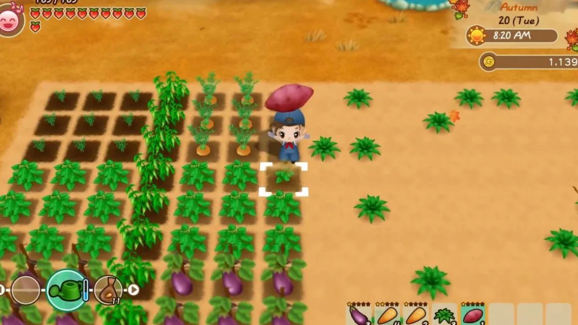 Story of Seasons : Friends of Mineral Town Xbox Series X / Xbox One^MARVELOUS Best