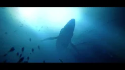 Under the Waves PS4^QUANTIC DREAM Cheap
