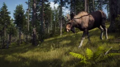 Way of the Hunter PS5^THQ NORDIC GAMES Best