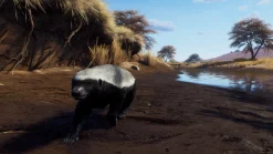 Way of the Hunter Season One PS5^THQ NORDIC GAMES Store