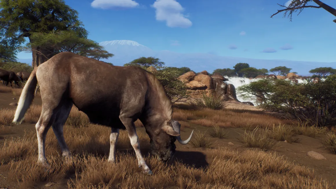 Way of the Hunter Season One PS5^THQ NORDIC GAMES Store