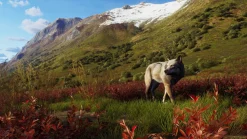 Way of the Hunter Wild Expeditions PS5^THQ NORDIC GAMES Sale