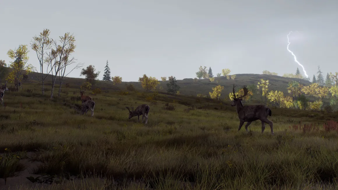 Way of the Hunter Wild Expeditions Xbox Series X^THQ NORDIC GAMES Online