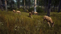Way of the Hunter Xbox Series X^THQ NORDIC GAMES Flash Sale