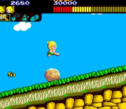 Wonder Boy Collection Nintendo SWITCH^ININ Cheap